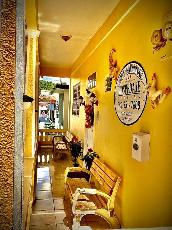 Great Savannah Guesthouse Sabana Grande Exterior photo